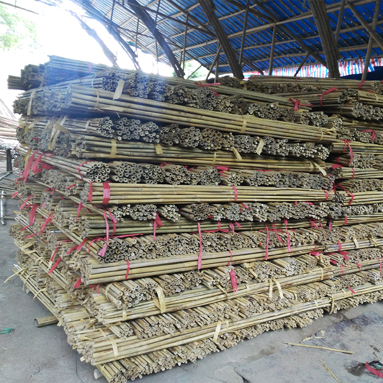 Wholesale Eco-friendly Support Plant Growing Natural Raw Moso Artificial Bamboo Poles