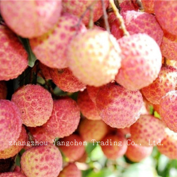 canned fruit lychees in light syrup/heavy syrup/natural juice