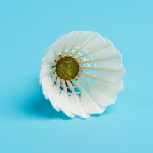 TCX BRAND TCX999 High-Level Goose Feather Badminton Shuttlecock for Professionals