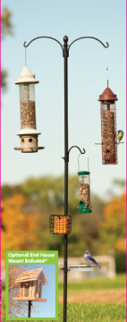 Basic Bird Feeding Station