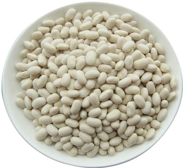 White Kidney Bean Extract 