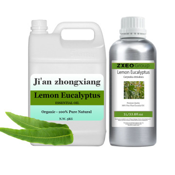 Pure lemon eucalyptus oil,free sample lemon eucalyptus oil wholesale