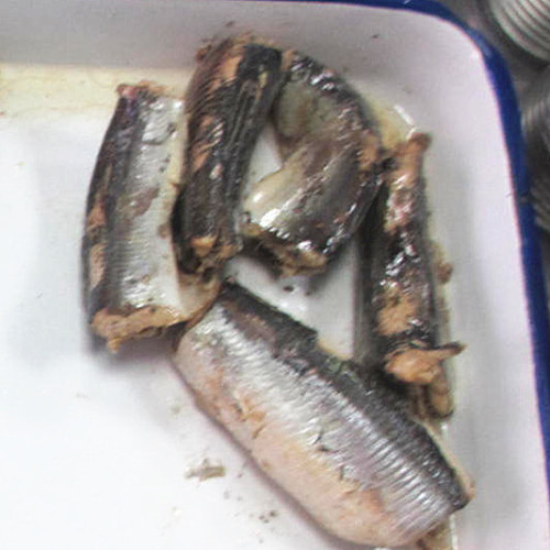 125G Canned Sardine In Oil And Tomato