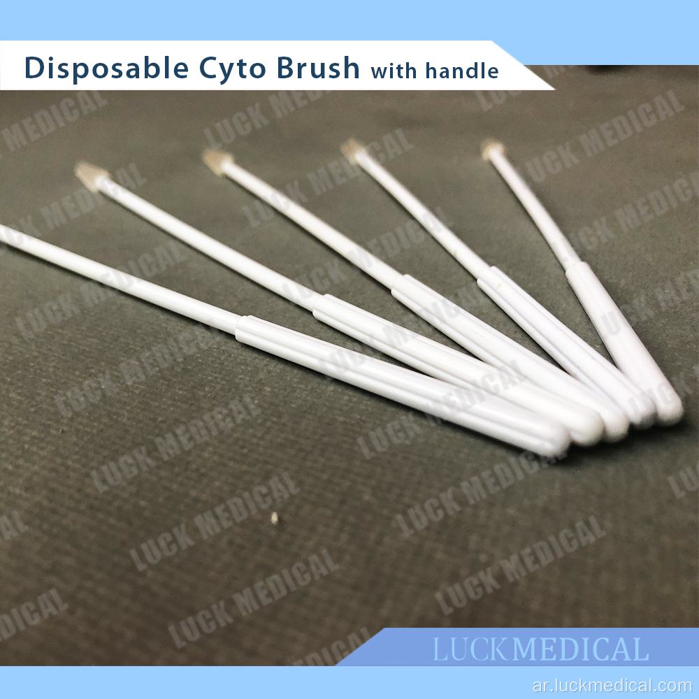 فرشاة Cervix Brush الطبية فرشاة Cyto