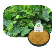 Pure Plant Cissus Repens Extract Powder 100% Natural