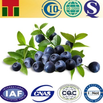 Food supplement organic blueberry powder