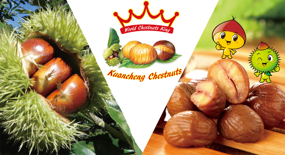 china wholesale bulk frozen peeled roasted chestnuts