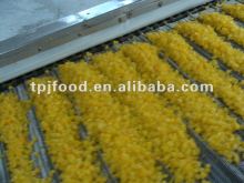 Deep Frozen Fruit -Yellow Peach Dice