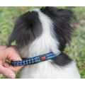 Collier de chien robuste en nylon balistique