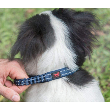 Coleira de cão pesado de nylon balístico