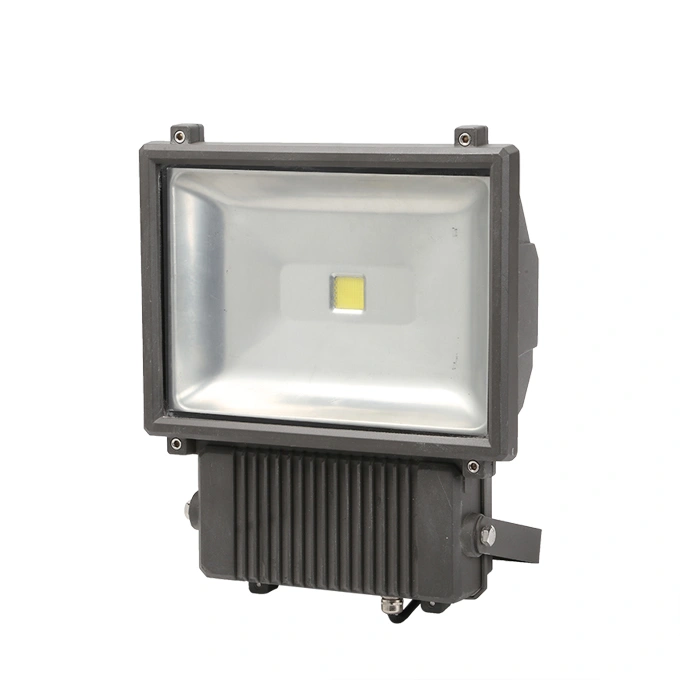 Most Powerful Brigelux 150W-180W LED Flood Light (SLFF215)