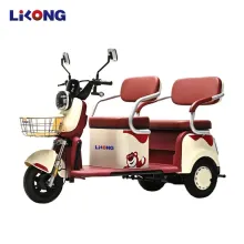Adults' Electric Trikes with Passenger Seat