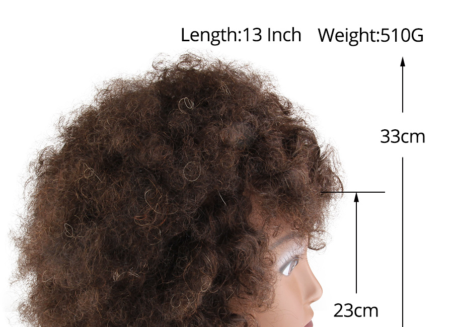 Alileader Wholesale African Female Cheap Mannequin Head Afro Training Mannequin Head