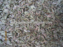 Fennel---seasoning and condiments of 2016