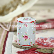 Elegant Fine New Bone China Salt and Pepper set