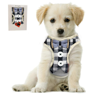 Small Puppy Harness with Bowtie