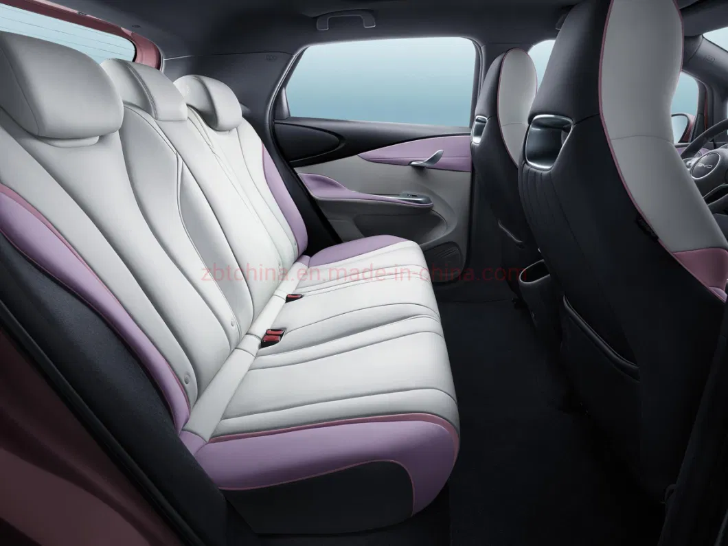 2022 Year Green Dolphin EV Nedc 301km 401km New Energy Vehicle Long Range Electric Car Sedan with LED Auto Headlights