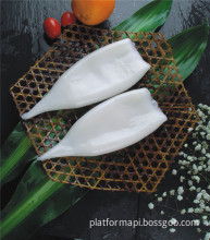 Frozen Squid Tube Todarodes Pacificus