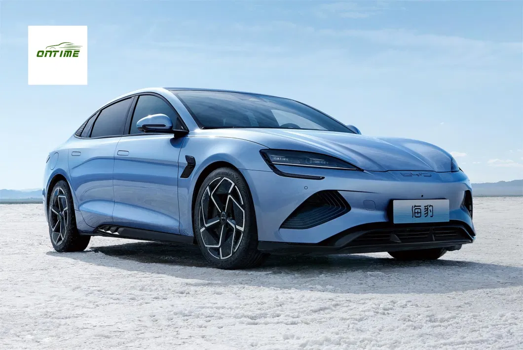 Electric Car Seal Version Drive Long Battery Life Made in China Best Electric Vehicle