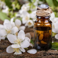 Concentrated natural jasmine essential oil