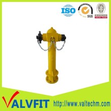 BS750 Ductile cast iron 2 way pillar hydrant