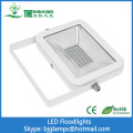 20 Watt Apple LED Floodlights de lampes led les plus vendues