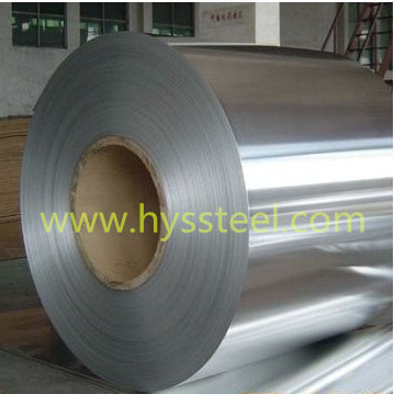 Stainless Steel Strip/Stainless Steel Coil