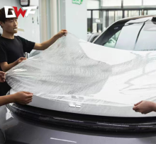 clear bra for tesla modely
