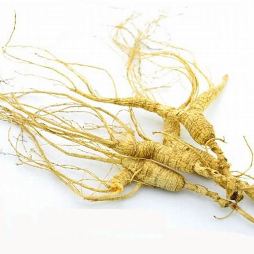 ginseng root health tea