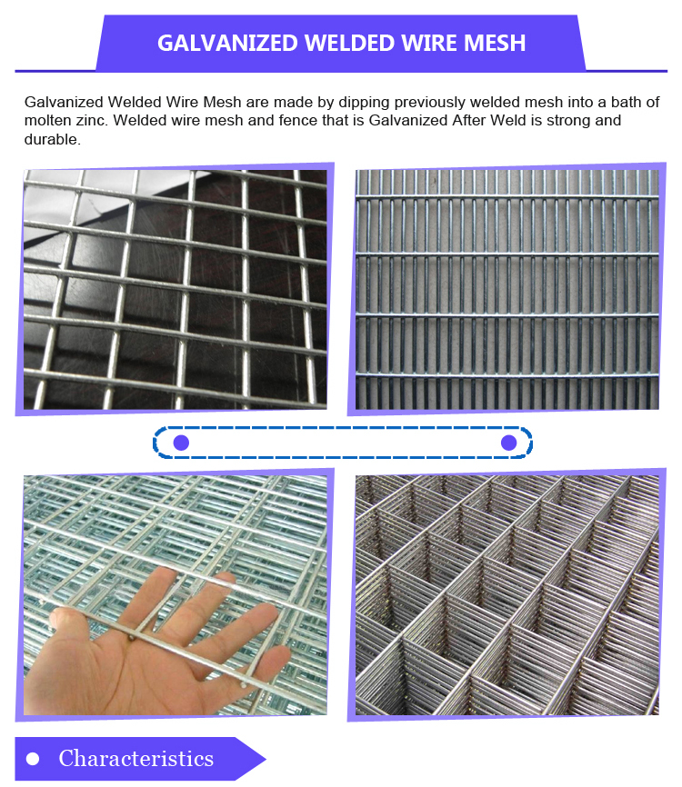 China PVC Coated Welded Wire Mesh Panel