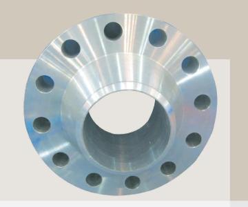 Flanges Ring Forging