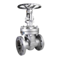 Valve de titane Globe Valve en titane