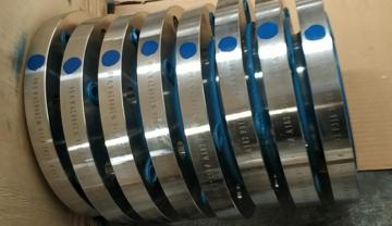 EN1092 type 12 flange