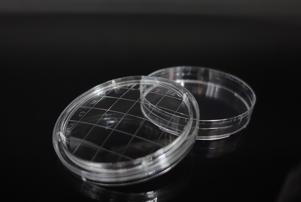 Rodac Petri Dish