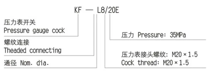 Pressure Gauge Switch Valve