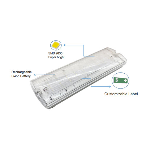 Lampada da parete di emergenza a LED universale 6W IP54