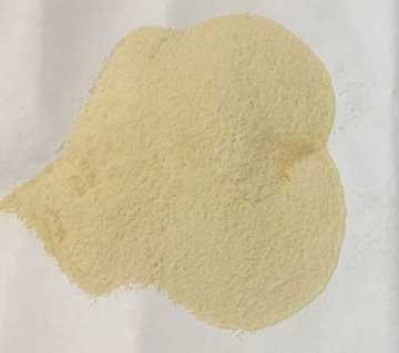 Xanthan Gum Xanthan Gum powder