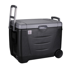 Truck Fridge Peltier Thermoelectric Cooler Warmer 45L