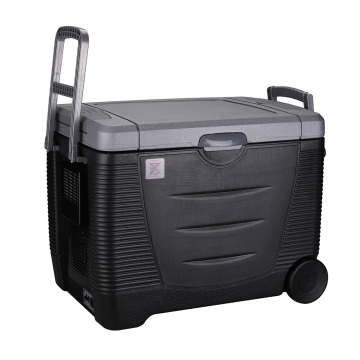 Truck Fridge Peltier Thermoelectric Cooler Warmer 45L