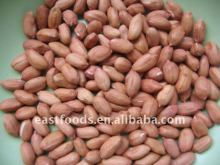 fresh peanut kernels size 34/38