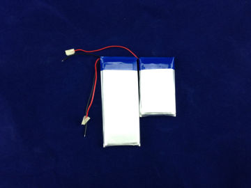 Lithium Polymer Battery 10000 mAh