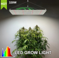 320W 600W 1000W LED GROW -lampor Hydroponiska växter