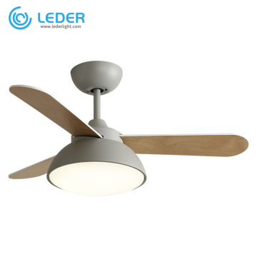 LEDER Best Ceiling Fan With Lights