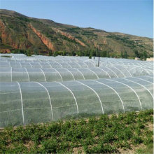 Polyethylene Agriculturall Insect Nets