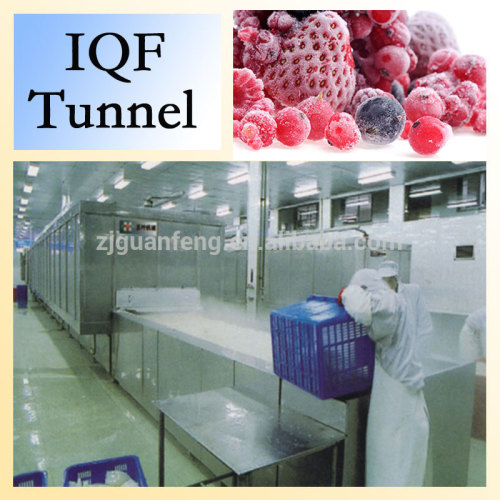iqf quick tunnel freezer / iqf freezing tunnels