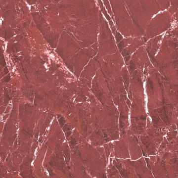 Tile, Porcelain Tile, Glazed Porcelain Tile (TG60014)