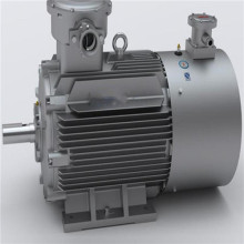 Mining Plant Frequency Conversion Motor