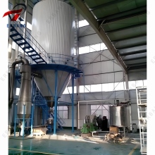 High-Quality Garlic Powder Made Through Spray Drying Process