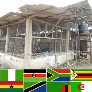 Trade assurance NO.1 Design 50000 chicken house starting a chicken farm for tyson