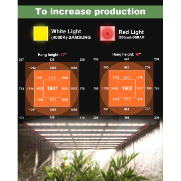 Aglex Ny 800W Hydroponic Samsung LM301H för inomhus